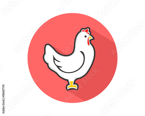 chicken pop hen poultry livestock animal image vector