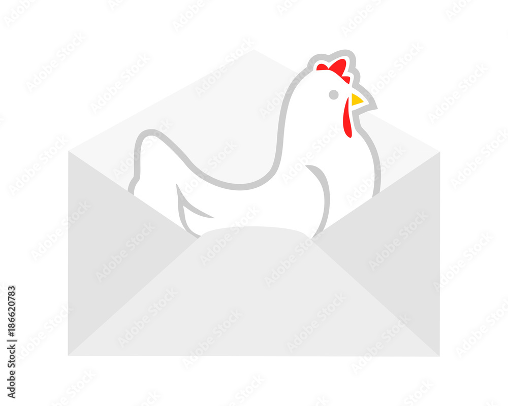 mail chicken hen poultry livestock animal image vector vector de Stock