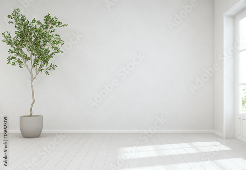 Indoor plant on wooden floor with empty white concrete wall background, Tree near door in bright living room of modern scandinavian house - Home interior 3d illustration photo