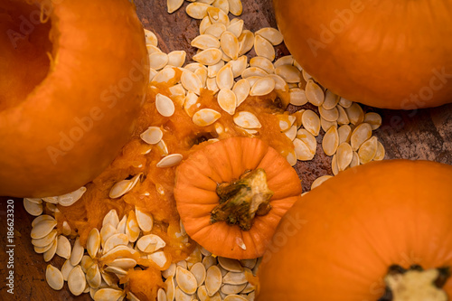 Pumpkin Innards