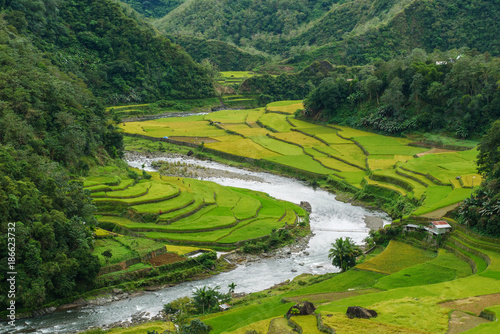 beautiful river and rice field in Banaue