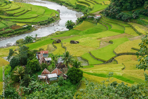 beautiful river and rice field in Banaue