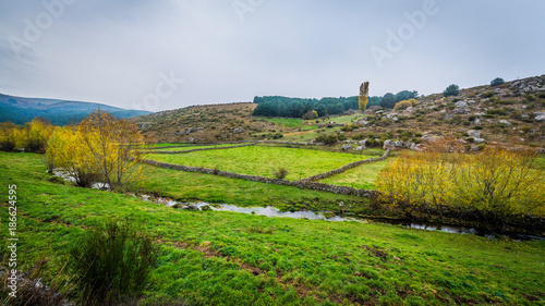 Sierra de Gredos, province of Avila, Castile Leon.