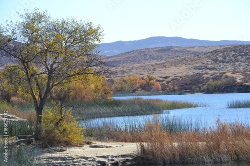 Autumn Colored Trees Around Lake Photo Not Painted Landscape