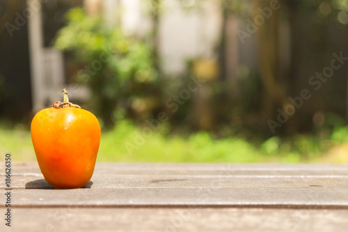 Orange Tomato on Wood Ground in Green Garden
