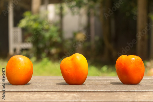 Three Orange Tomato on Wood Ground in Green Garden