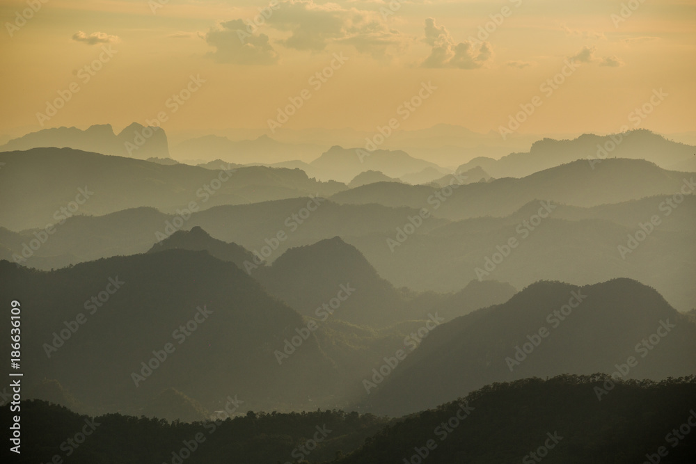 Misty mountain forest landscape in the evening. Tak , Thailand 