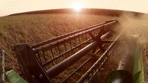 Soybean harvest in autumn sunset. Gimbal stock video.