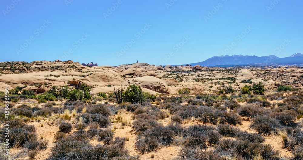 Desert Moab, Utah, USA. Lifeless stone desert