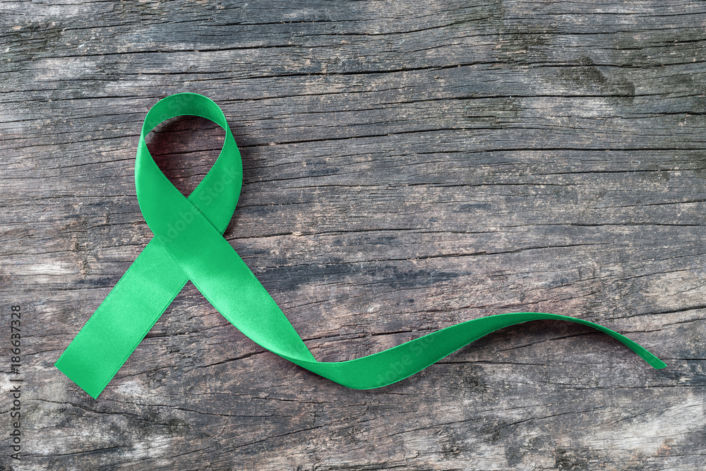 Green ribbon awareness symbolic bow for Kidney, Gallbladder, Bile Duct  Cancer, Glaucoma, Leukemia, Traumatic Brain Injury, and Mental Health  illness (bow isolated on white with clipping path) - CLOSLER - CLOSLER