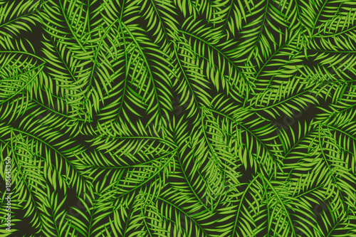 Seamless pattern with palm tree green leaves on dark background.