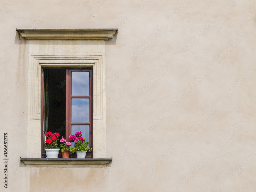 An open window with flowers and a place for your text.
