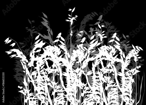 grey and white silhouettes of isolated oat