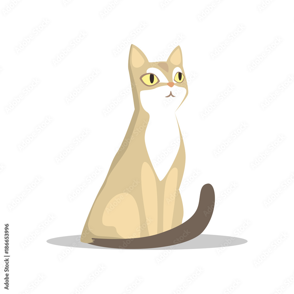 Short-haired beige cat with big yellow eyes, long dark tail, white markings on muzzle and chest. Hand drawn domestic animal. Flat vector for veterinary service or pet shop Short-haired beige cat with big yellow eyes, long dark tail, white markings on muzzle and chest. Hand drawn domestic animal. Flat vector for veterinary service or pet shop