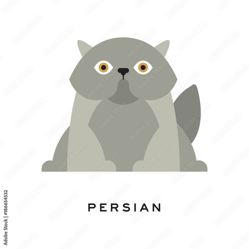 Fluffy gray persian cat. Adorable long-haired feline with round face and short muzzle. Cartoon pet character. Domestic animal. Flat vector design for logo or print