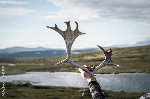 Hand holding antlers © Ronja