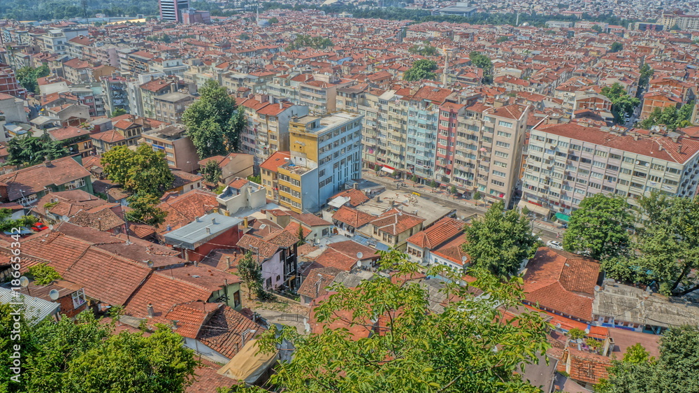 bursa bursa