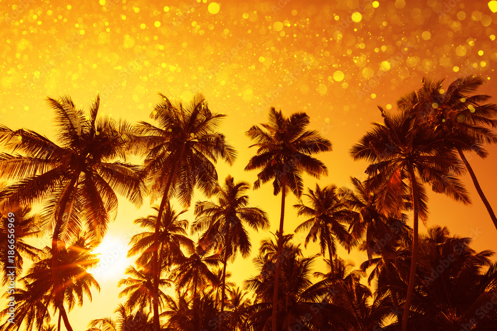 Coconut palm trees silhouettes at sunset with party glitter lights bokeh overlay effect