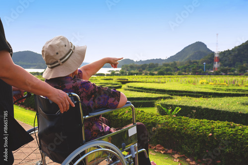 Young asian women pushing the elderly woman on wheelchair in garden,helping and support concept.