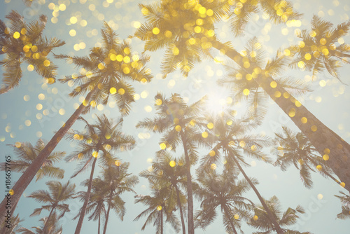 Palm trees vintage toned with shiny party bokeh glitter golden lights effect