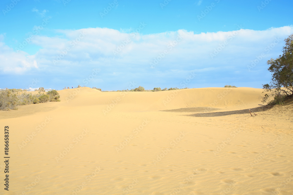 The sand dunes in Maspalomas on Gran Canaria Island, Canary Islands, Spain