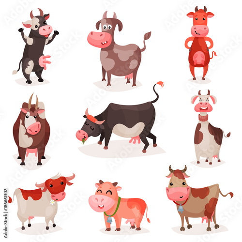 Fototapeta Naklejka Na Ścianę i Meble -  Cute cow characters set, funny cows in different positions cartoon vector Illustrations