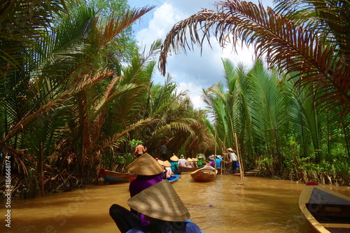 My Tho, Vietnam: Tourist at Mekong River Delta jungle cruise with unidentified craftman and fisherman rowing boats on flooding muddy lotus field in Mekong delta into Ho Chi minh city