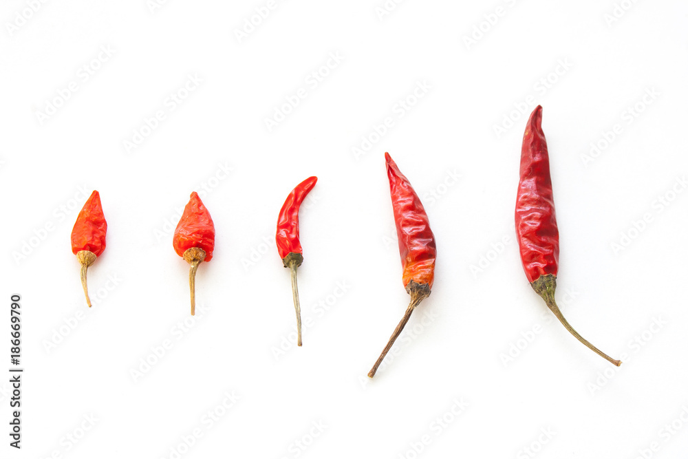 Dried whole red chilli isolated on white background. (Selective focus) Dried whole red chilli isolated on white background. (Selective focus)
