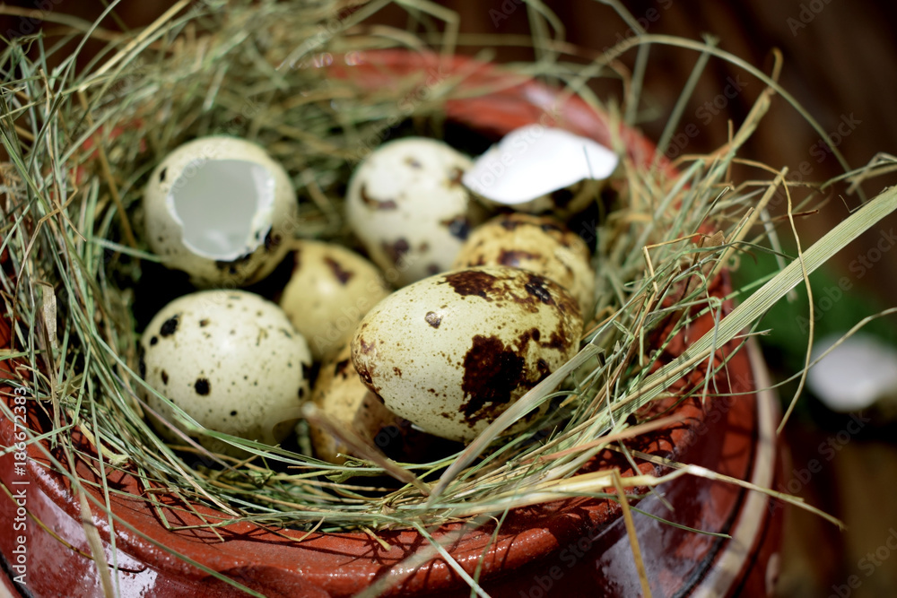Obraz premium Quail eggs in hay in a clay pot on a wooden background. Rustic style