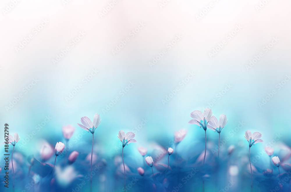 Beautiful Free Spring Wallpaper and Spring Desktop Backgrounds