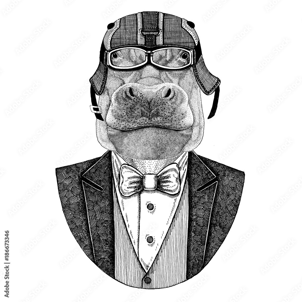 Hippo, behemoth, river-horse Animal wearing jacket with bow-tie and