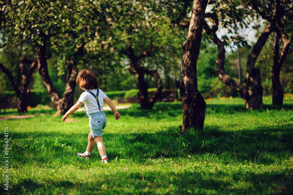 3 years old toddler child boy walking alone in spring or summer walk in garden or park 3 years old toddler child boy walking alone in spring or summer walk in garden or park