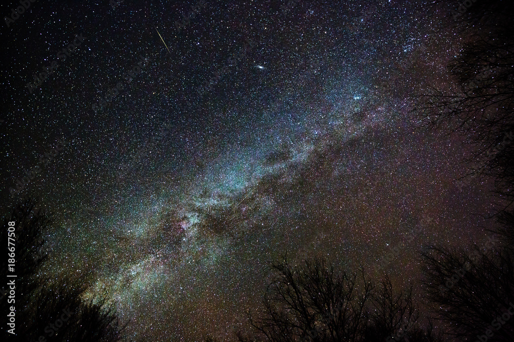 Fototapeta premium Milky Way seen through the forest