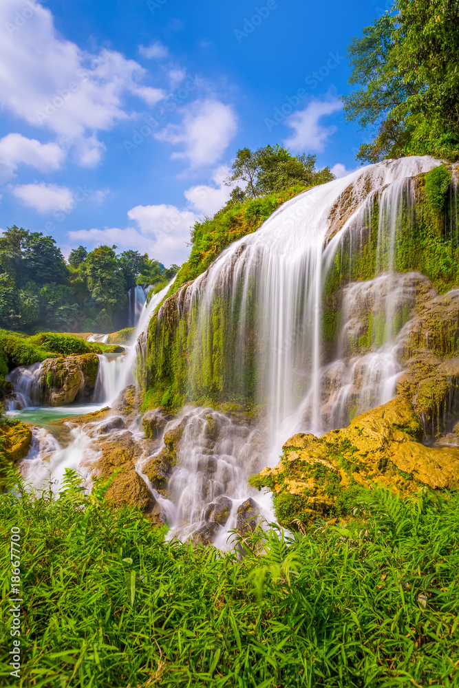 Landscape Waterfall