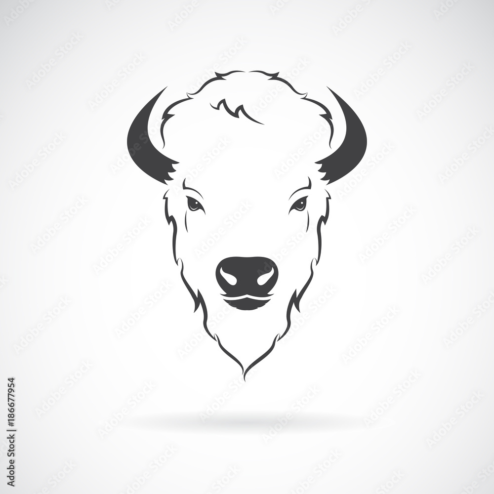 Vector of a buffalo head design on white background. Wild Animals ...