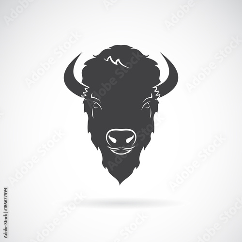 Leinwand Poster Vector of a buffalo head design on white background