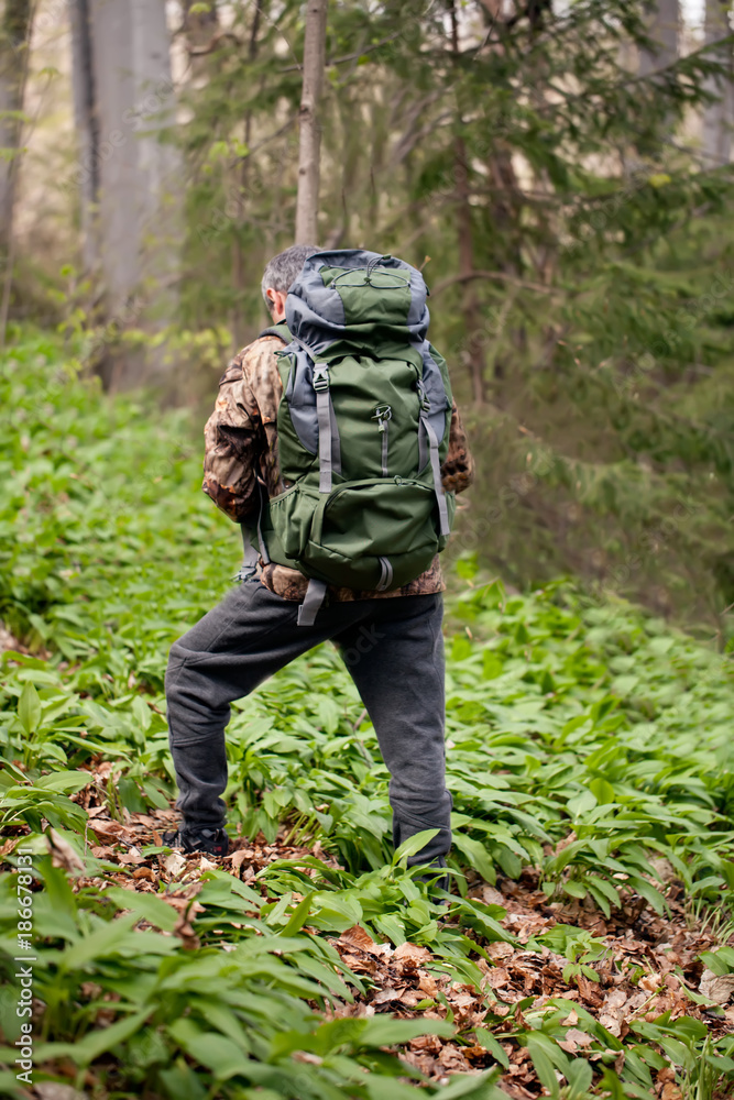 hiker walking along a trail deep in the forest hiker walking along a trail deep in the forest