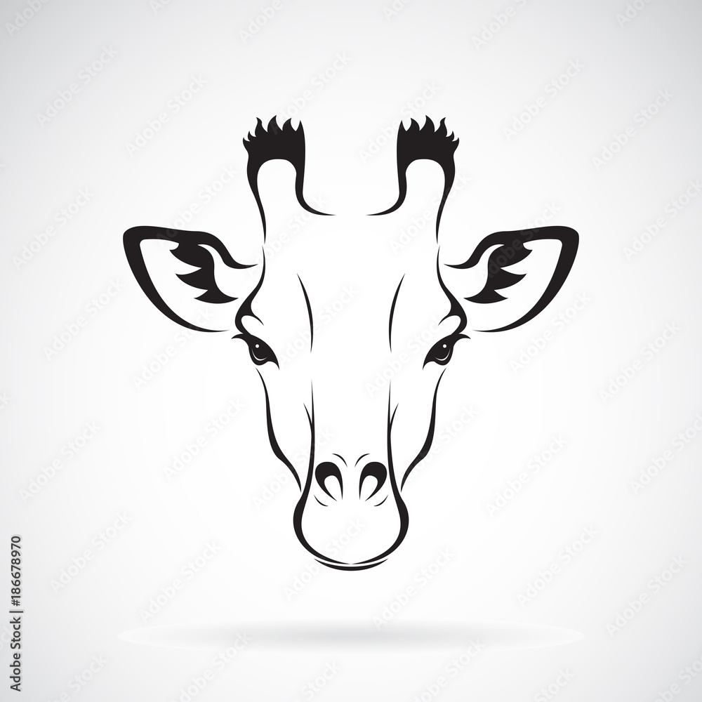 Naklejka premium Wektor konstrukcji głowy żyrafa na białym tle. Dzikie zwierzęta. Ilustracji wektorowych.