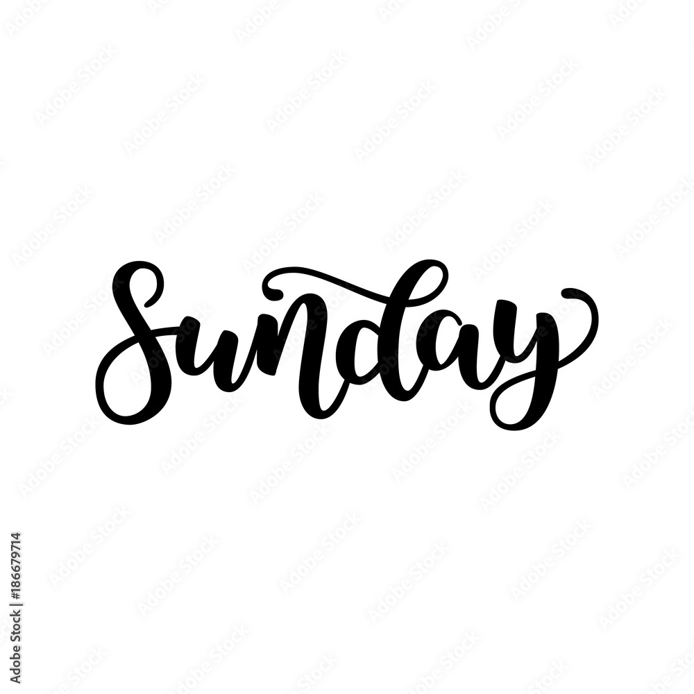 Sunday. Handwriting font by calligraphy. Vector illustration isolated on white background. EPS 10. Brush ink black lettering. Day of Week