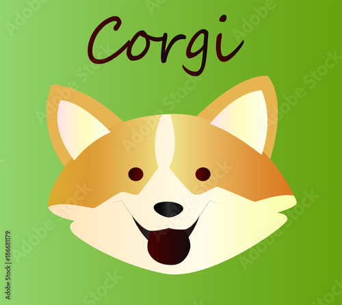 Cheerful welsh corgi - cartoon sketch of a dog, close-up on a green gradient background. Cute pet idea for a sticker, logo
