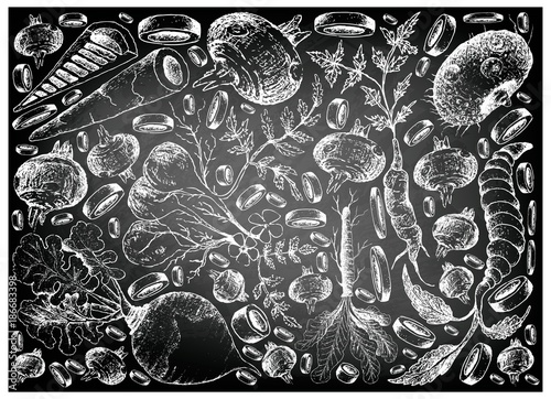 Hand Drawn of Root and Tuberous Vegetables on Chalkboard