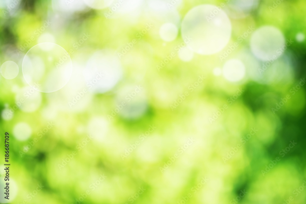 Obraz premium Abstract green bright bokeh background