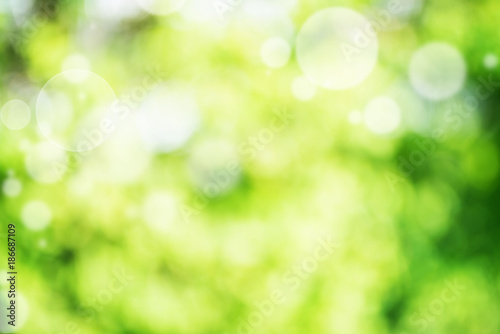 Abstract green bright bokeh background