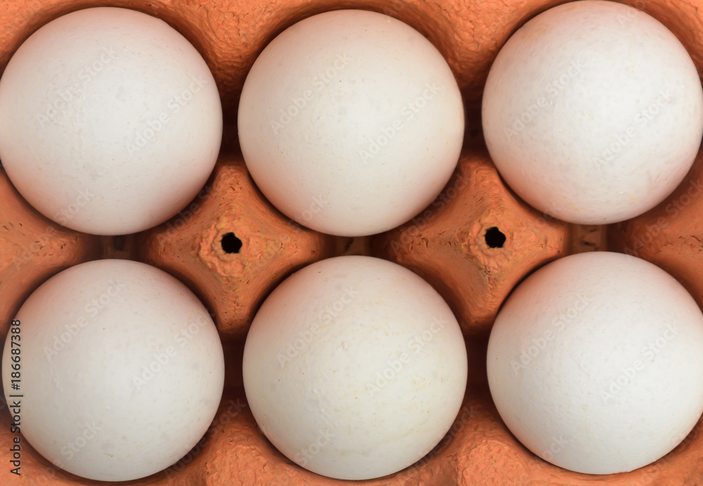 White chicken eggs in a cardboard container for storage and transportation