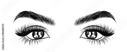 Hand-drawn woman's sexy luxurious eye with perfectly shaped eyebrows and full lashes. Idea for business visit card, typography vector. Perfect salon look.