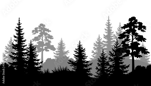 Seamless Horizontal Summer Forest with Pine, Fir Tree, Grass and Bush Black and Gray Silhouettes on White Background. Vector