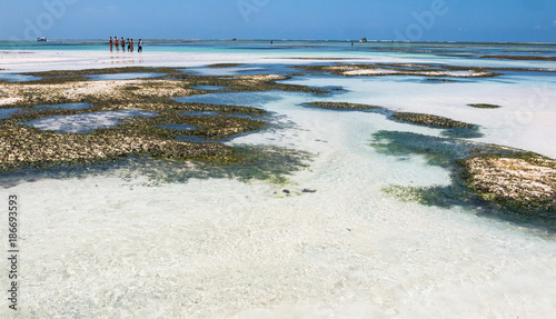 White Sand beach in Diani, Kenya