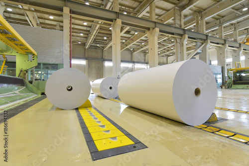 Papierrollen in einer Papierfabrik - Verarbeitung von Altpapier // Paper rolls in a paper mill - processing of waste paper photo