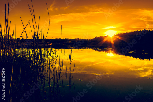 Summer scenery of sunset sky over peaceful lake with calm water surface, nature landscape