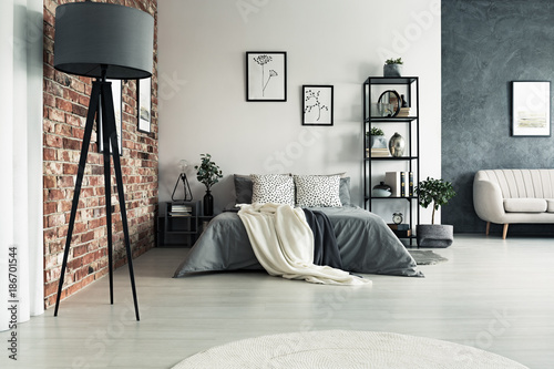 Billede på lærred Grey roomy apartment